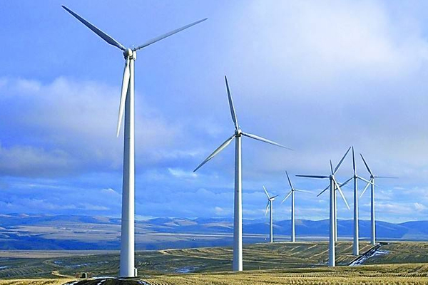 1560502004812160.jpg 20190614111710_665.jpg